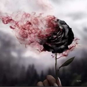 Meet your Posher, Chanel